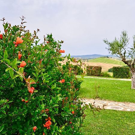 Agriturismo Caliano 아시아노 외부 사진