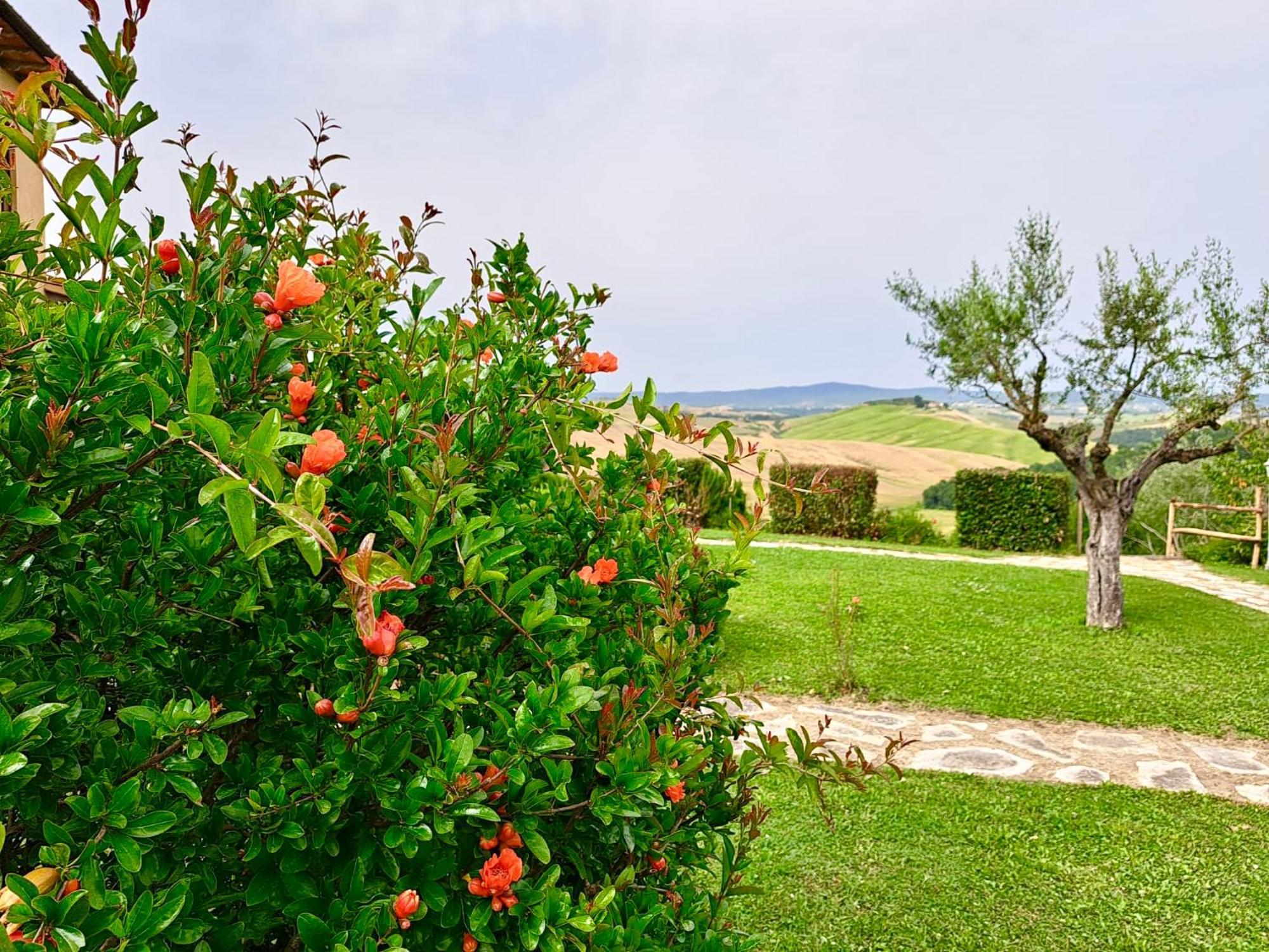 Agriturismo Caliano 아시아노 외부 사진