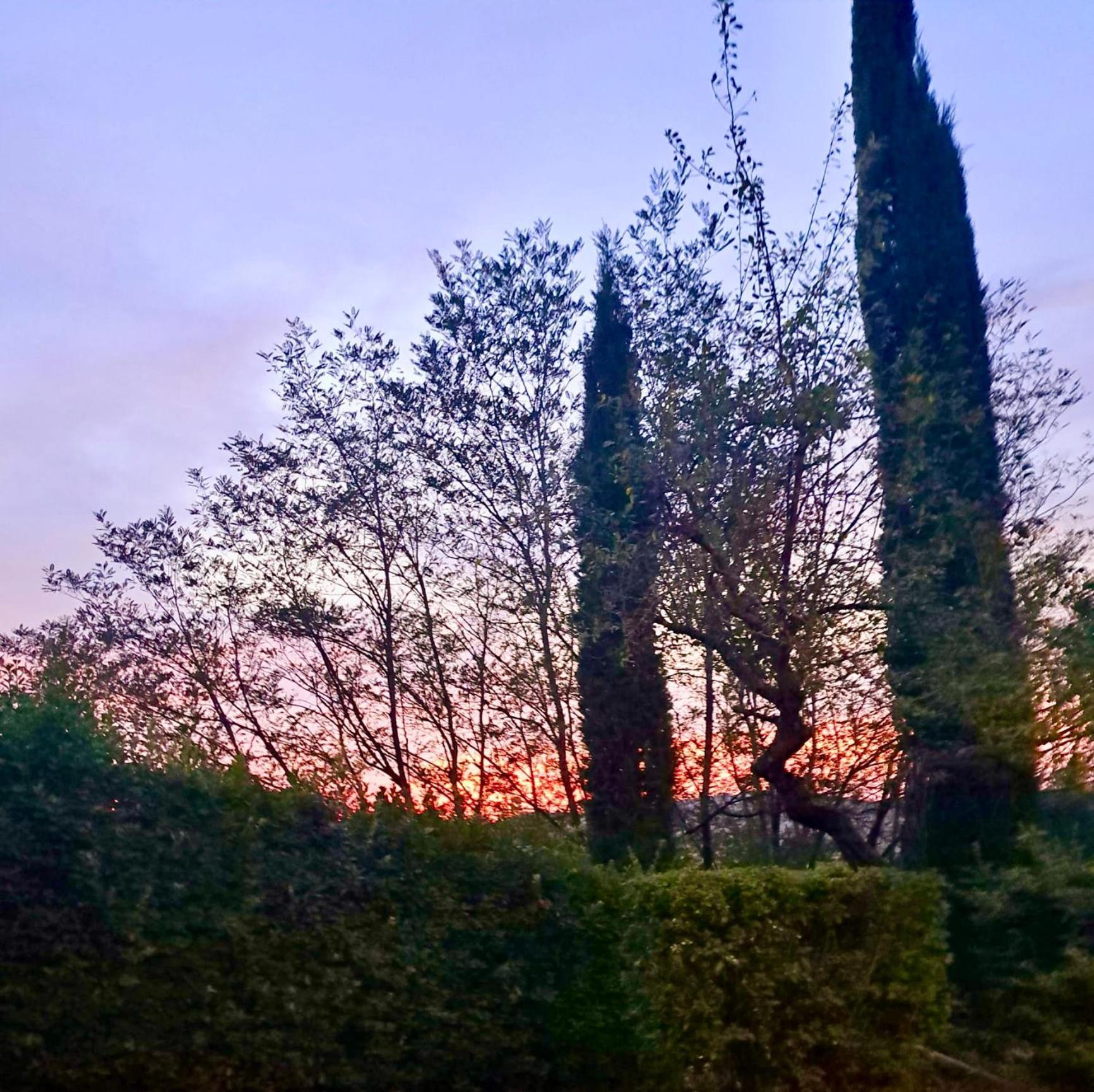 Agriturismo Caliano 아시아노 외부 사진
