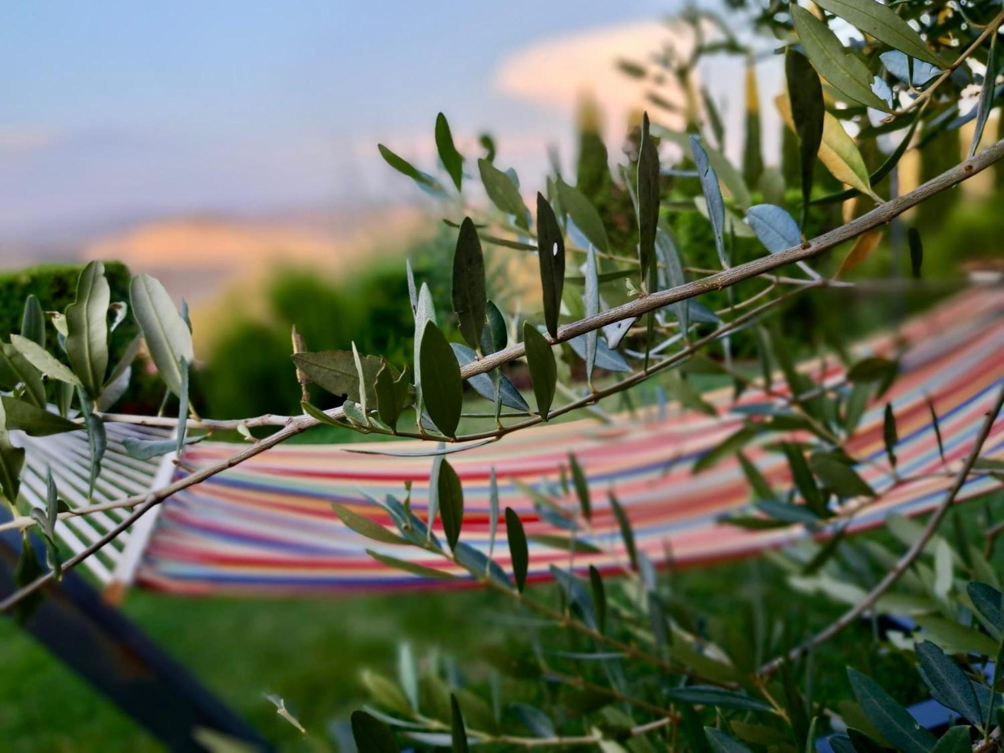 Agriturismo Caliano 아시아노 외부 사진