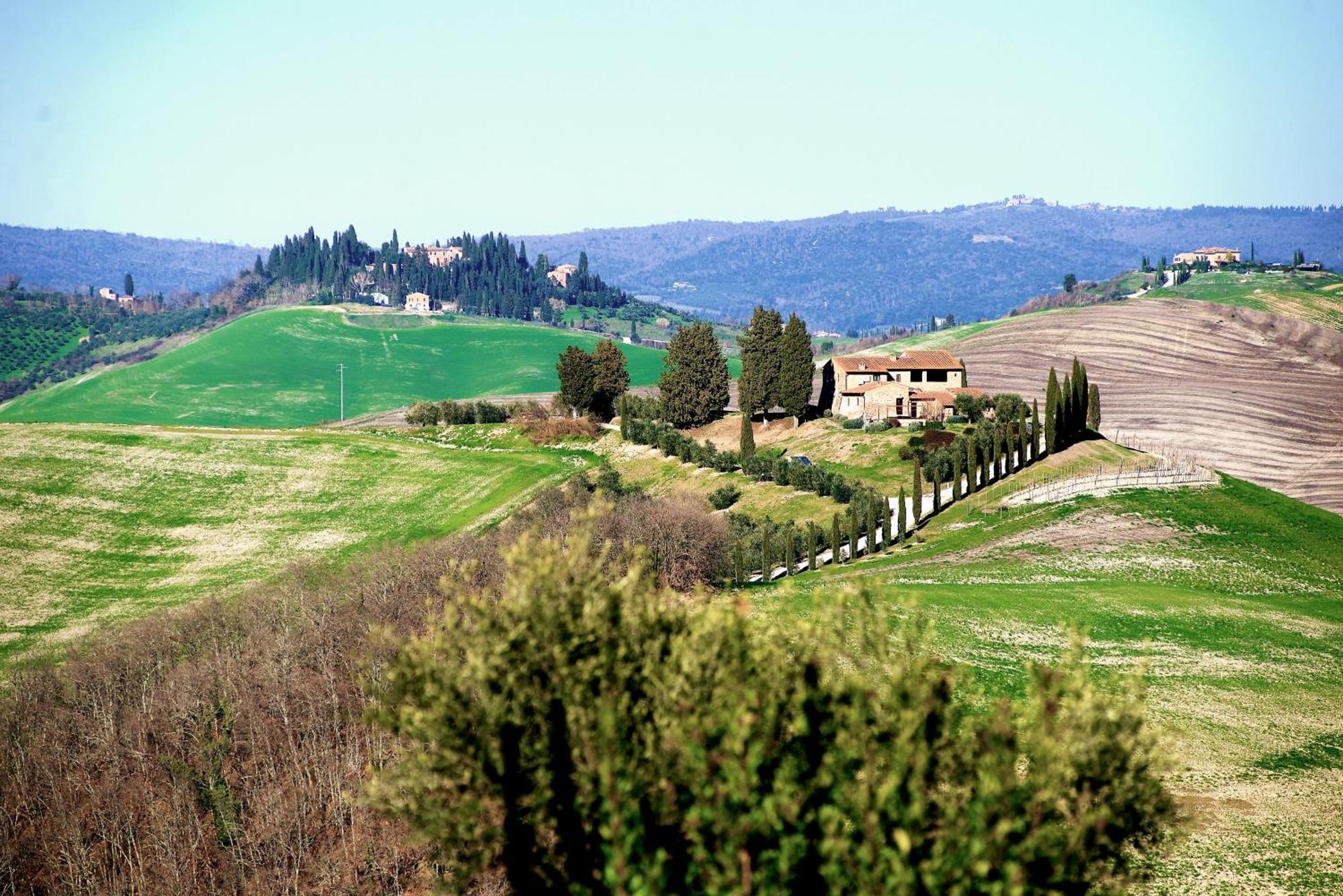 Agriturismo Caliano 아시아노 외부 사진