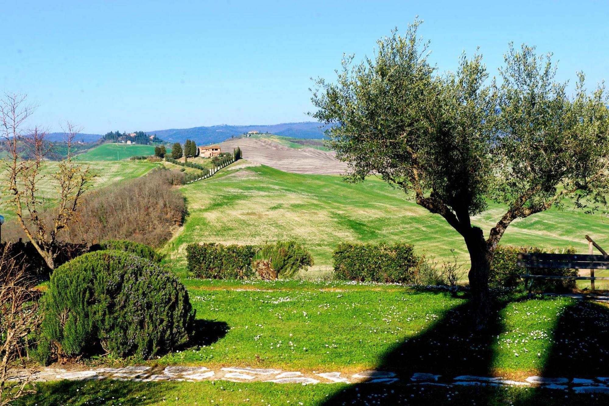 Agriturismo Caliano 아시아노 외부 사진